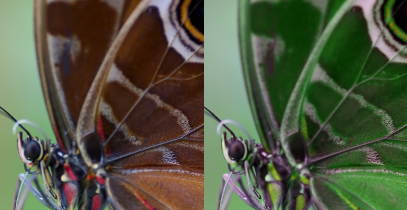 Mudança de apenas uma gama de cores em Photoshop