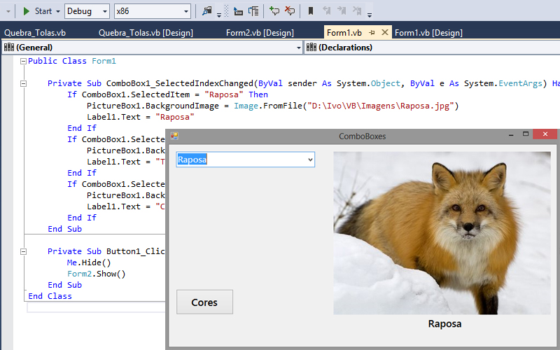 Código e execução em Visual Basic