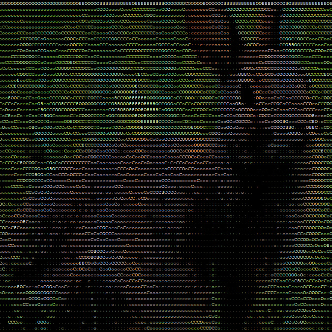 Imagem transformada em ASCII